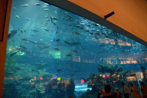 Dubai Mall Aquarium